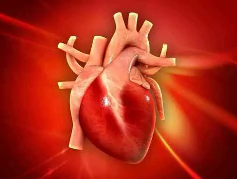 What is an artificial heart-lung?