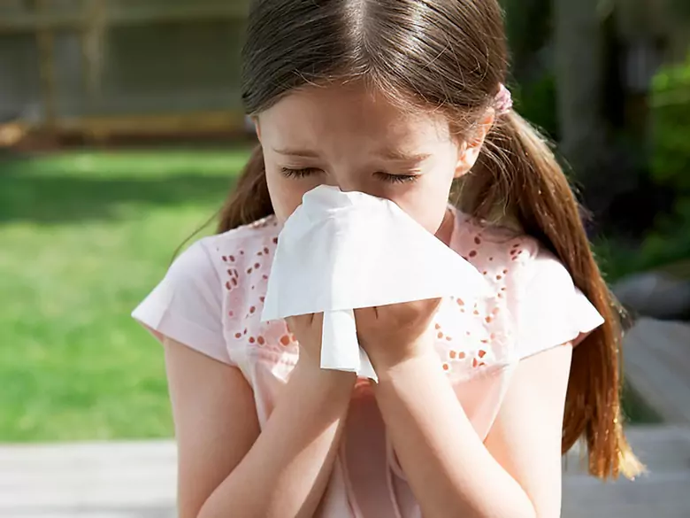 Allergy to house dust mites - what should you know?