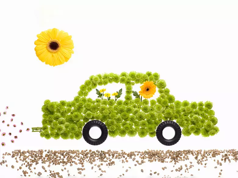 Your car sounds and charms