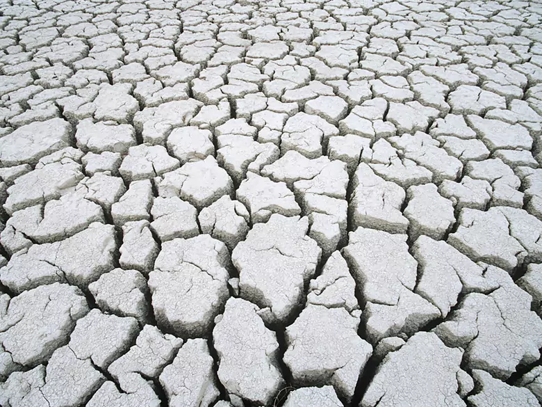 2nd edition of the Okno na Świat festival in Bytom