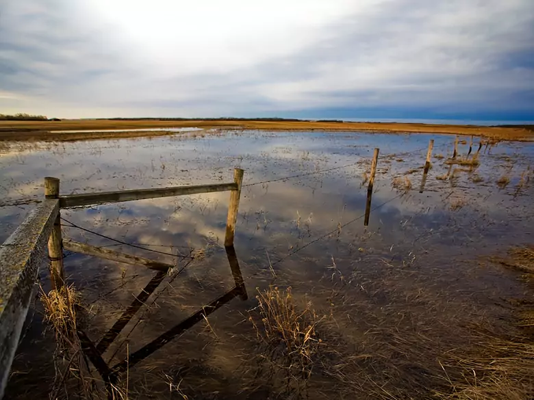 Libya: first poisonings from contaminated water