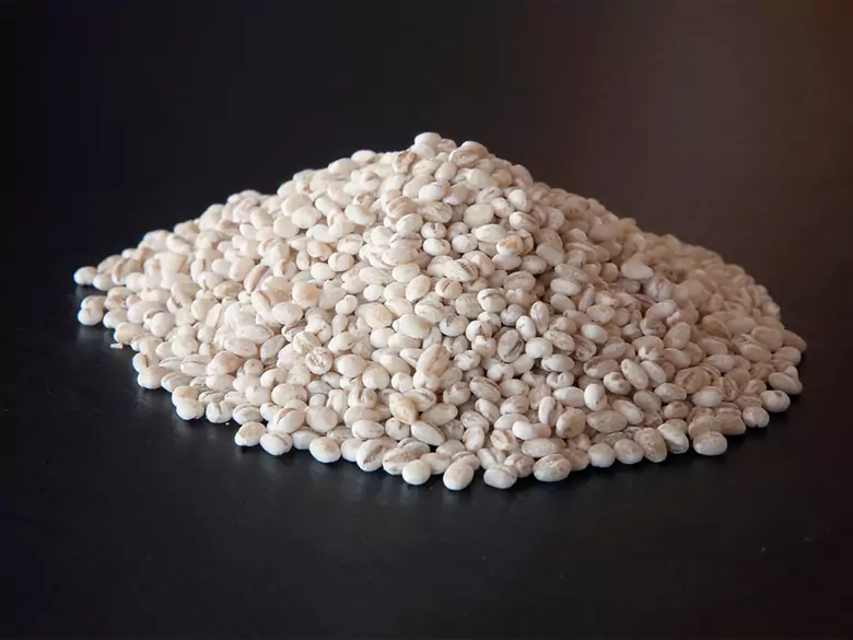 What is the healthiest rice for us?