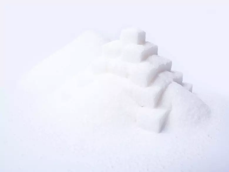 Type 1 diabetes and gastrointestinal bacteria?