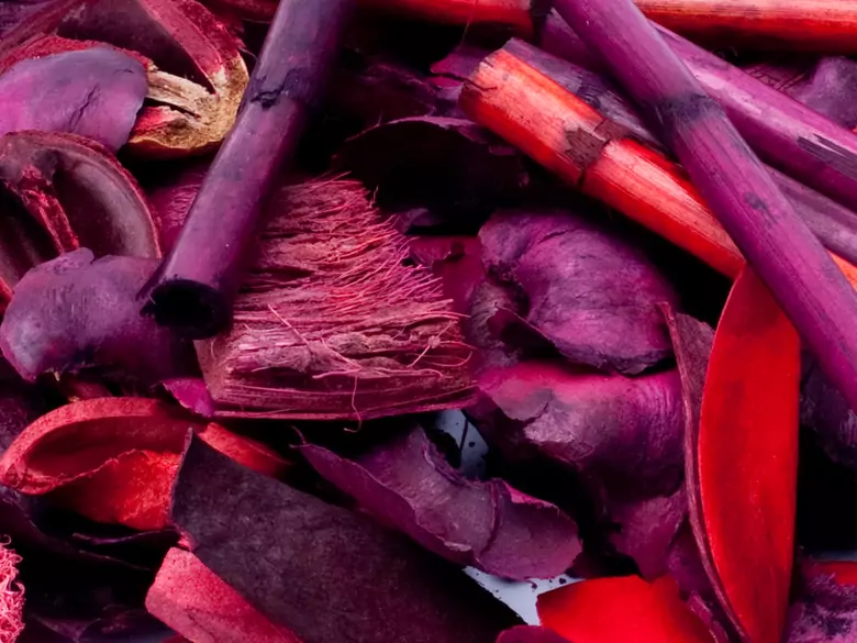 Does cinnamon improve learning processes?