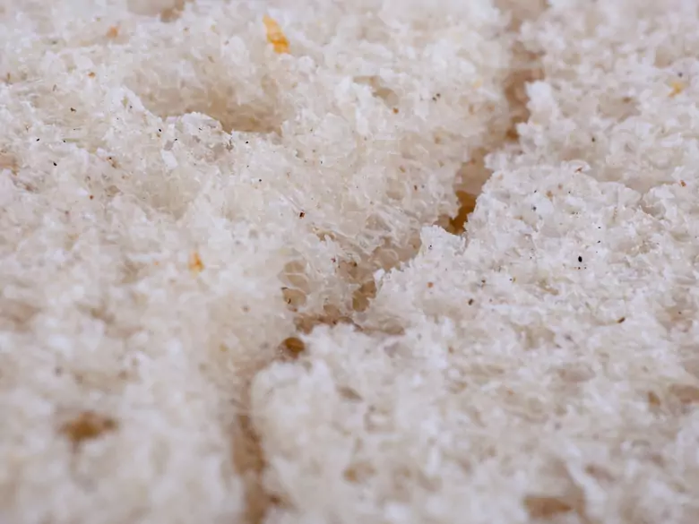 Diet in a child with chronic liver disease