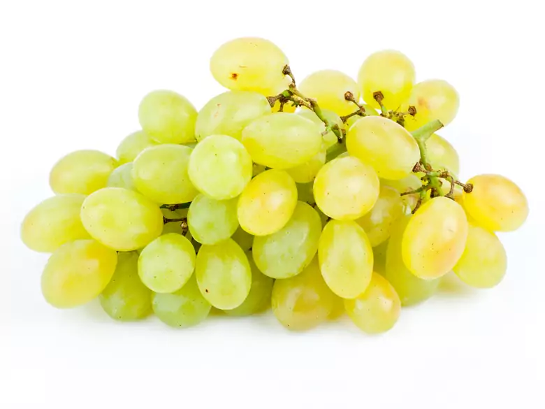 Grape seed oil - for health and beauty