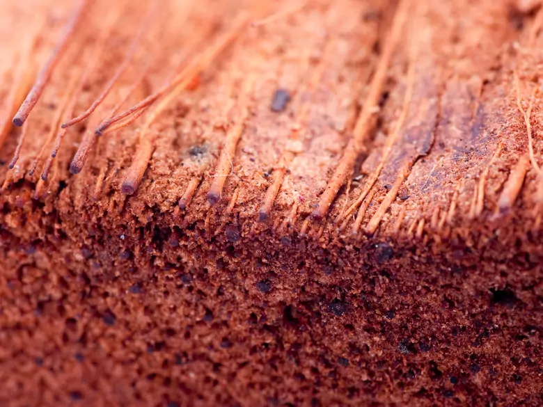 Follicular keratosis - causes, symptoms, diagnosis, treatment