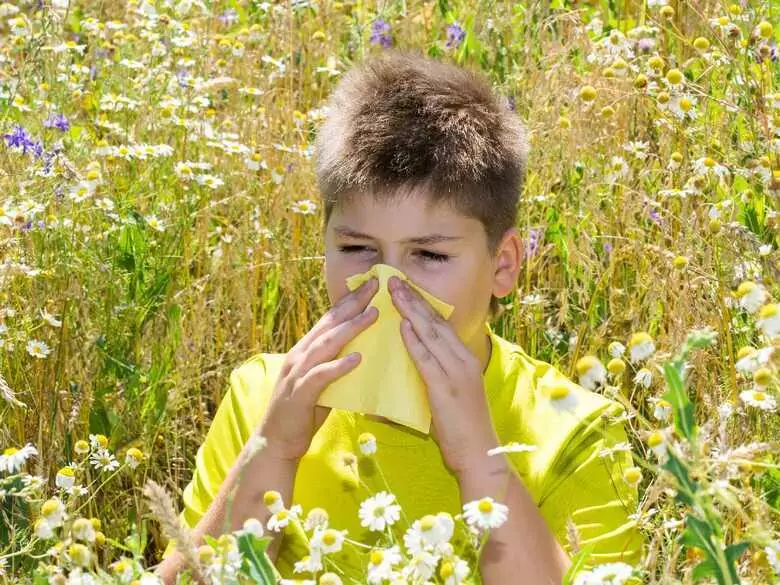 An anti-allergic preparation will disappear from pharmacies nationwide