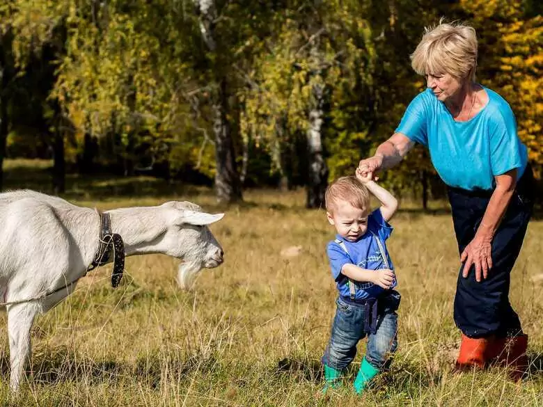 Allergy screening - what should your child be tested for?