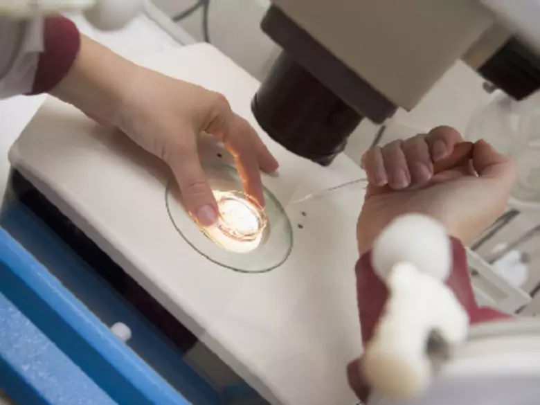 Lambliosis - causes, symptoms, diagnosis, treatment