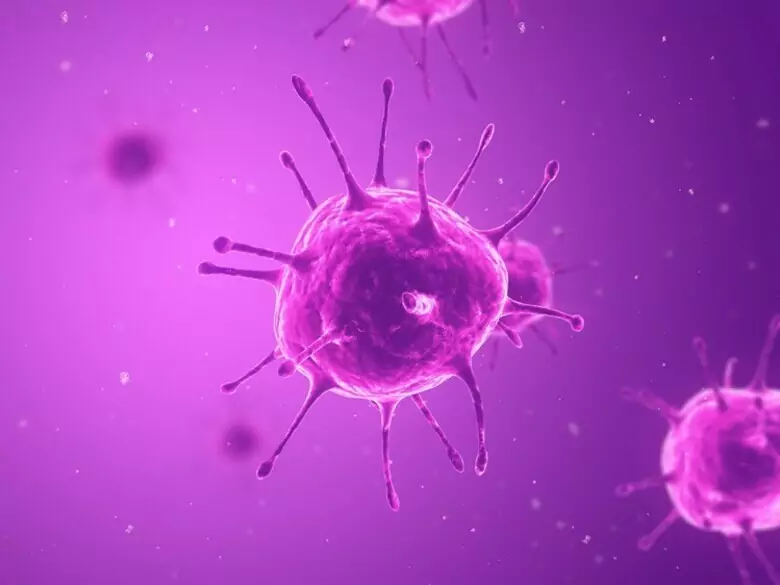 Bacteria in the body - are they dangerous?