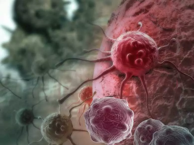 Salmonella - how dangerous is this bacterium?