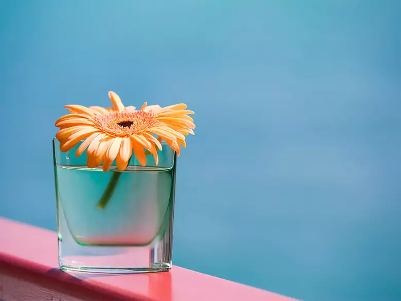 Natural juices - are they natural?