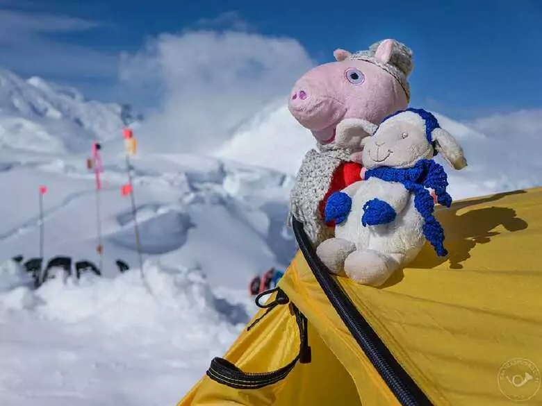 It's something you have to experience for yourself - a travellers' expedition dedicated to children with SA