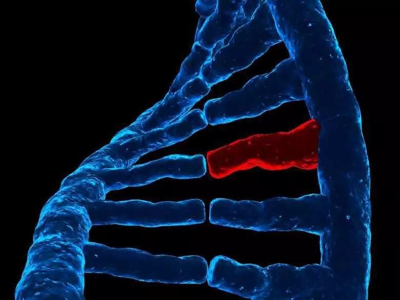 Charcot disease and its consequences