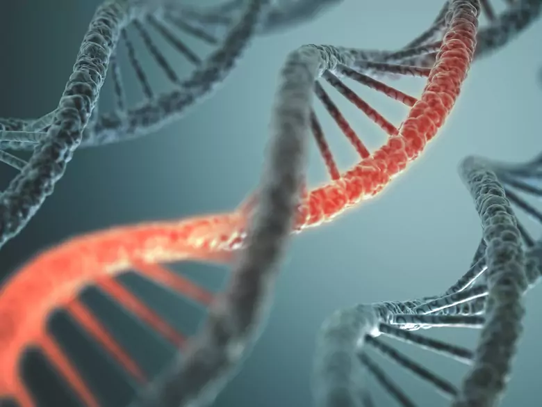 Cystic fibrosis - risk of disease in carrier families