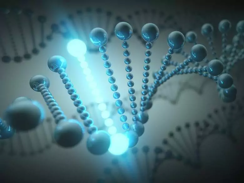 How do we inherit various diseases?