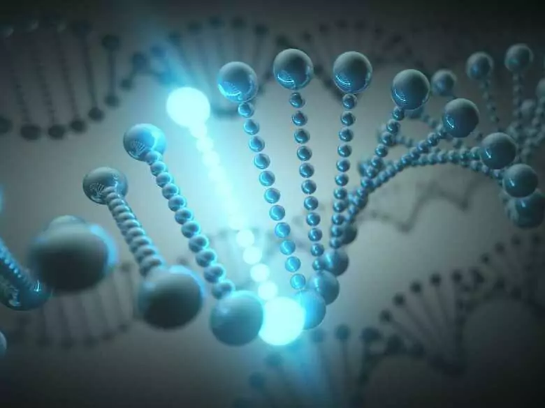 Do you suffer from Hashimoto's? You could have celiac disease!