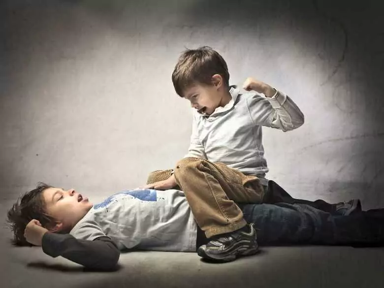 Aggression in children - causes, symptoms, diagnosis, treatment