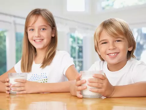 Prebiotics in the diet of adolescents and adults