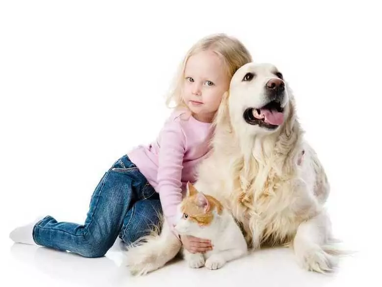 Beloved dog better than brother? A new look at childhood relationships