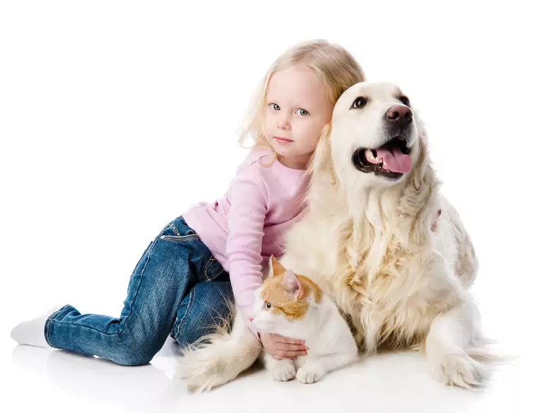 Beloved dog better than brother? A new look at childhood relationships