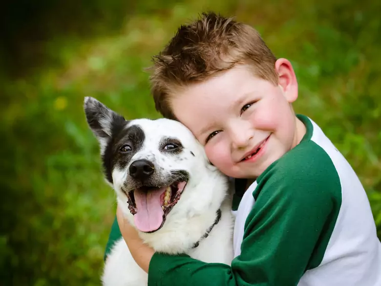 Cleft lip and palate