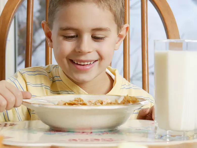 Whey hydrolysates - milk replacers in the allergic child