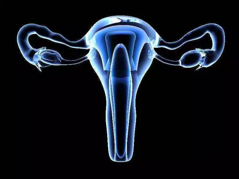 Physiology of the female monthly cycle