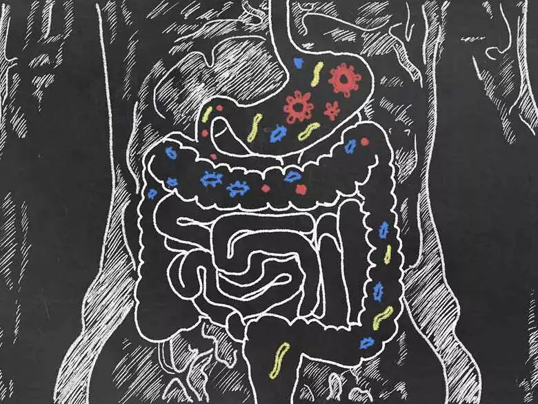 Probiotic bacteria - which ones are worth reaching for every day?