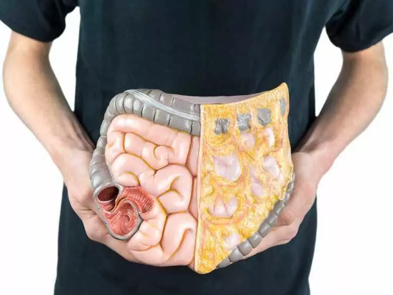 What is a healthy diet for people with digestive problems?