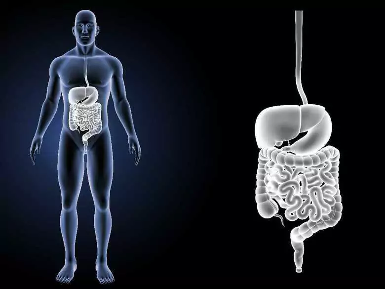 Preparing for a colonoscopy - how does it go and what should I pay attention to?