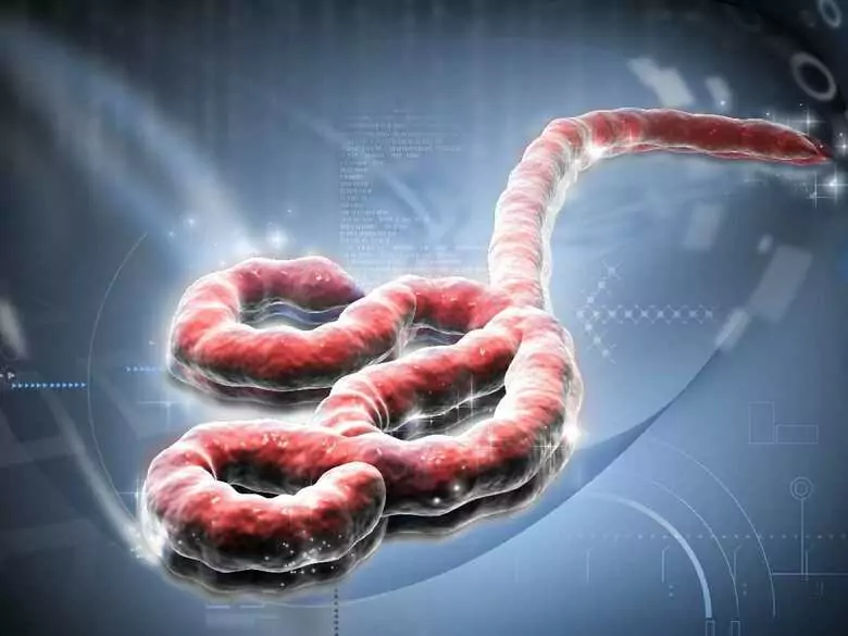 Marker Ca 19-9 - a marker for gastrointestinal cancer