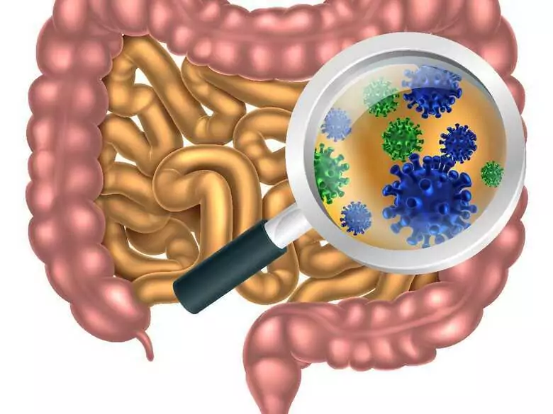 Gut bacteria may influence the development of colorectal cancer