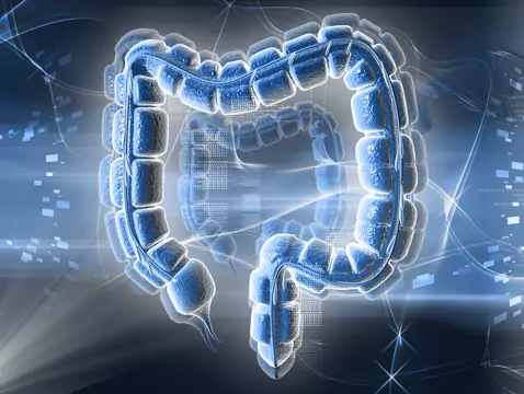 Crohn's disease - causes, symptoms, diagnosis, treatment, probiotics