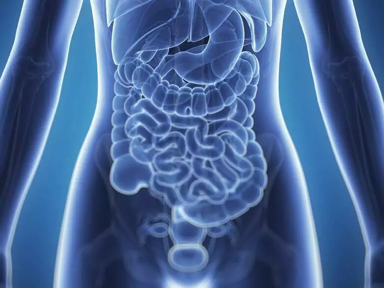 Pancreatic enzyme preparations - effects on a child's pancreatic function