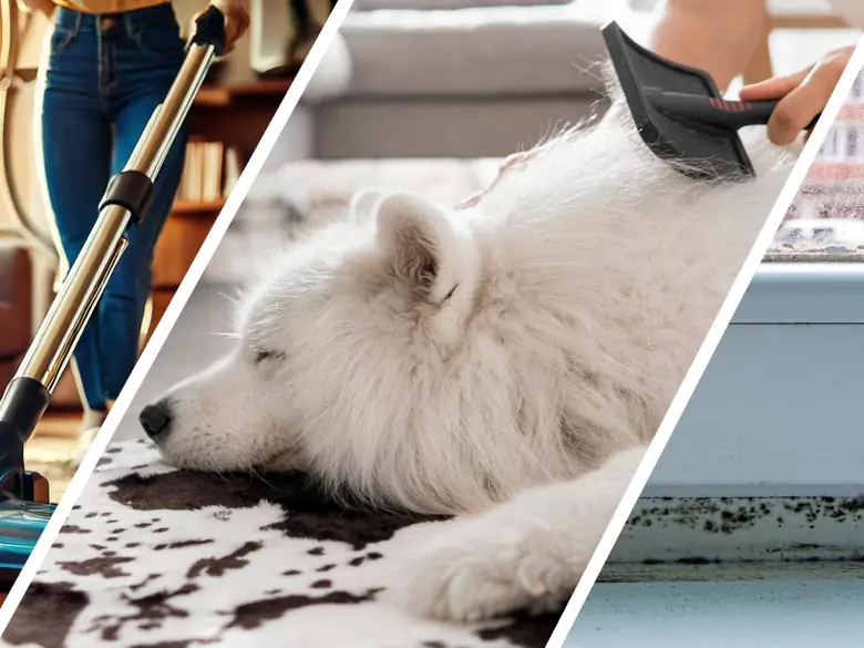 AleAlert: House dust mites, mould and pet dander pose a challenge for allergy sufferers in November