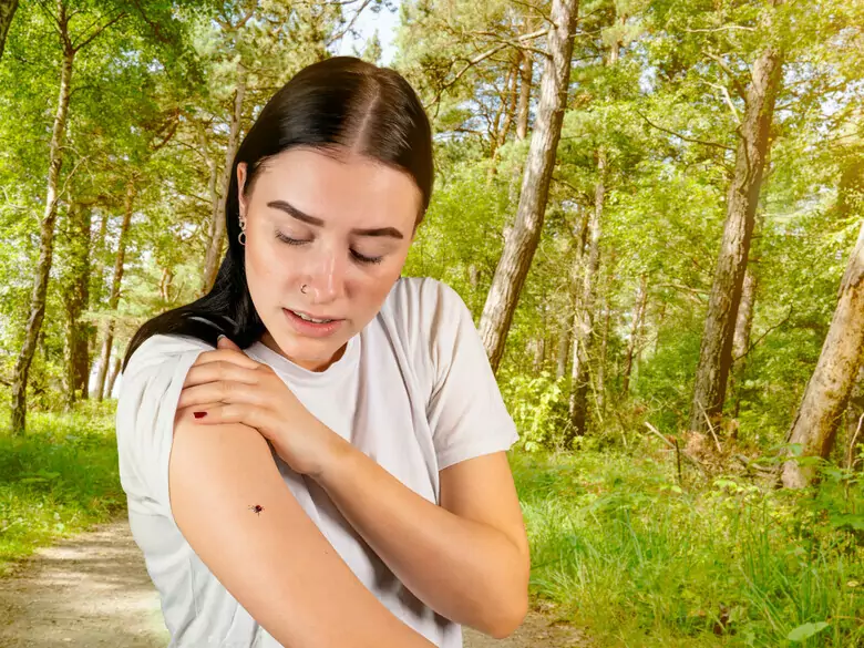 What are the symptoms of Lyme disease?
