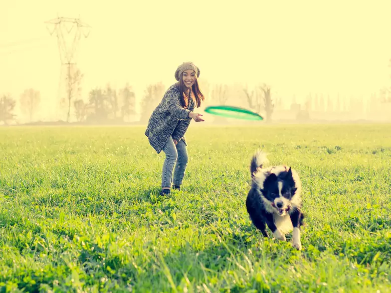 Do animals really love people?