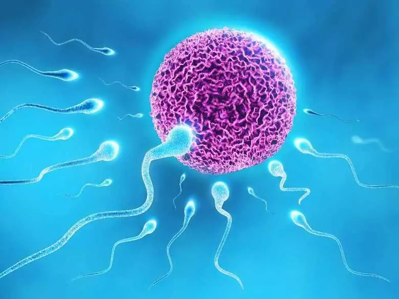 Artificial insemination the only way to get pregnant in the near future?