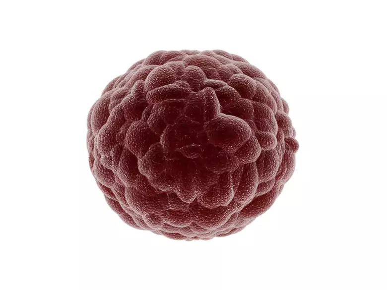 How to treat autoimmune diseases?