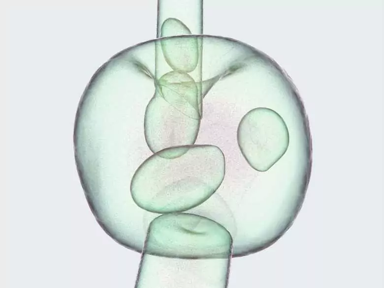 Czech scientists have discovered a new way to deliver a drug directly into a cell!