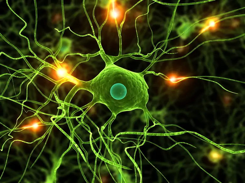 The role of stem cells in ischaemic stroke