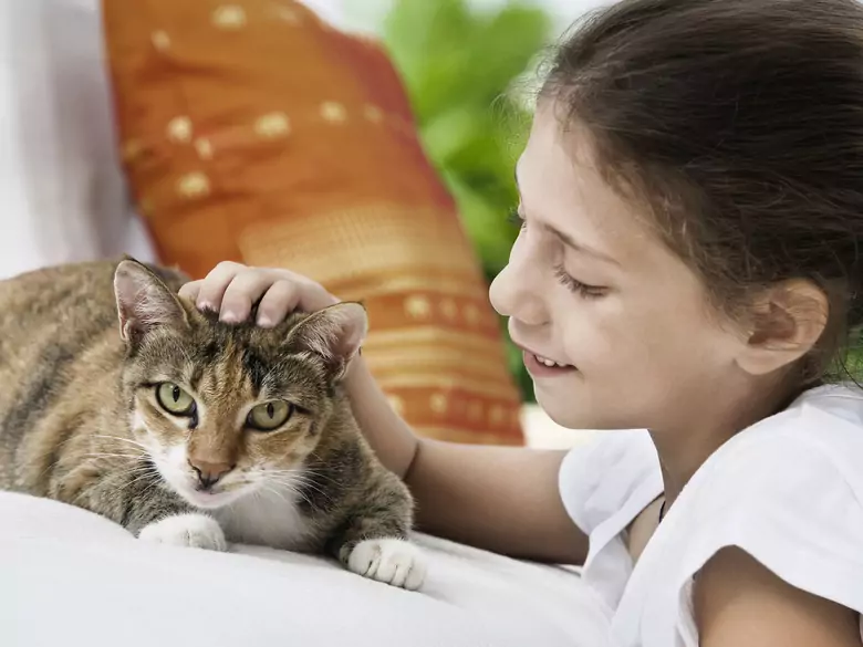 Are children who have pets at home less prone to allergies?