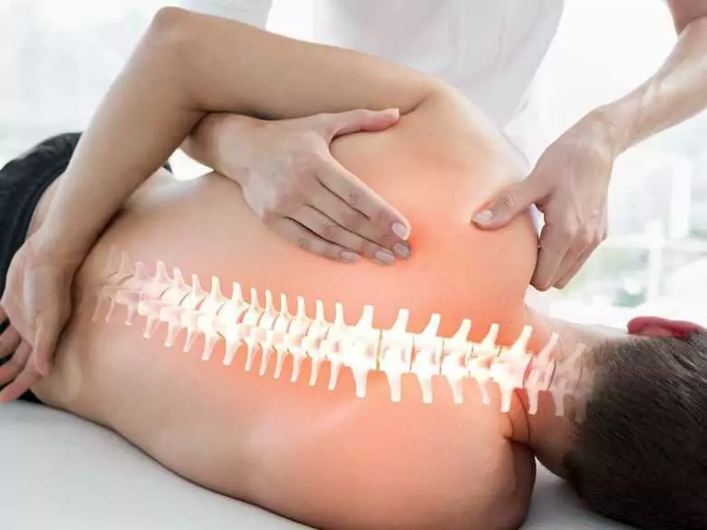 Construction of the spine and its deformities