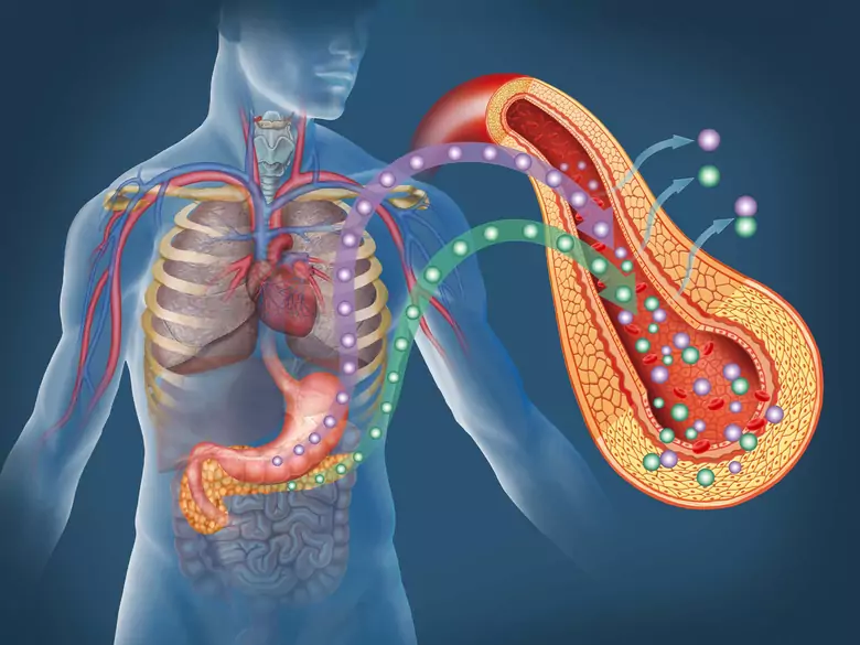 New method for diagnosing arterial stiffness