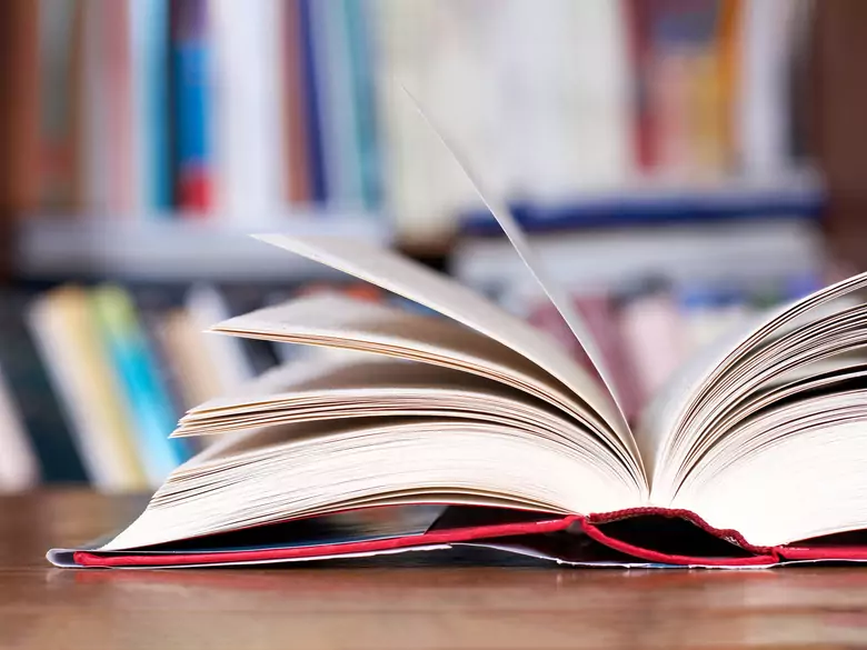 Profiles of Polish psychiatrists: Maria Orwid