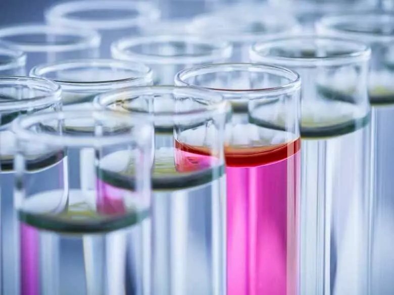 Types of stem cells and their use in various fields of medicine