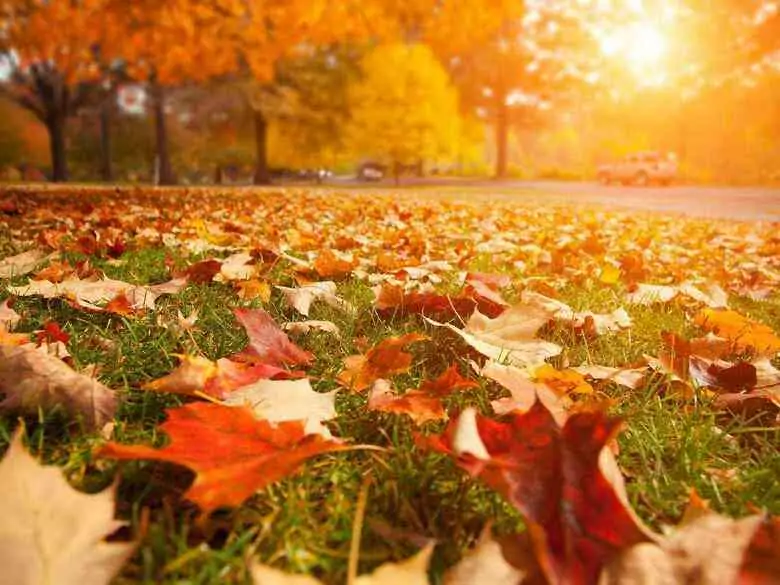 Autumn sadness, or maybe something more? A few words about seasonal depression