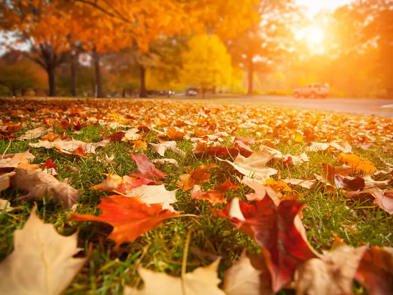 Autumn sadness, or maybe something more? A few words about seasonal depression